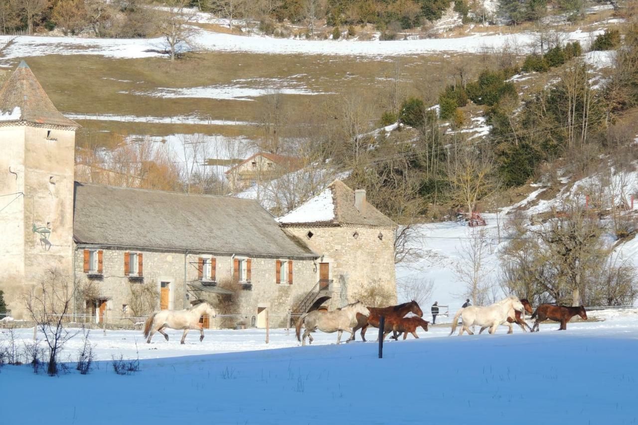 Le Colombier Glandage Exterior photo